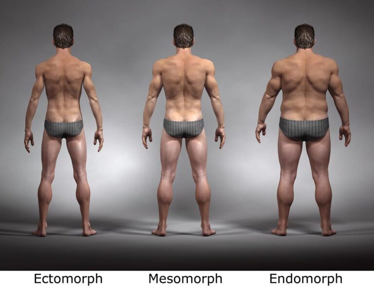 Ectomorfo: o que é, características, dieta e cardápio